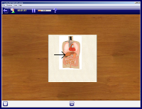 Spaced repetition with animated card flipping view during the learning and repetition session of Flashcard Learner software.