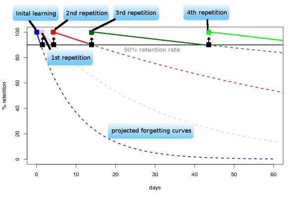 Flashcard Learner spaced repetition algorithm. Refresh information at optimal spacings to keep the retention rate above 90 percent.